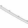 Lower Molding - Nissan (62072-5R00A)